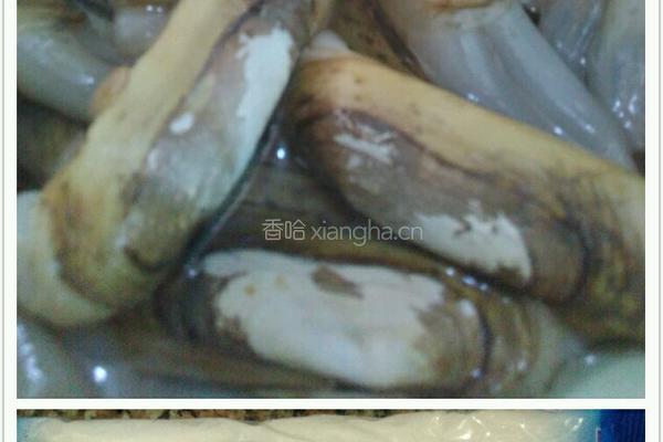 盐蛏干的做法图解1