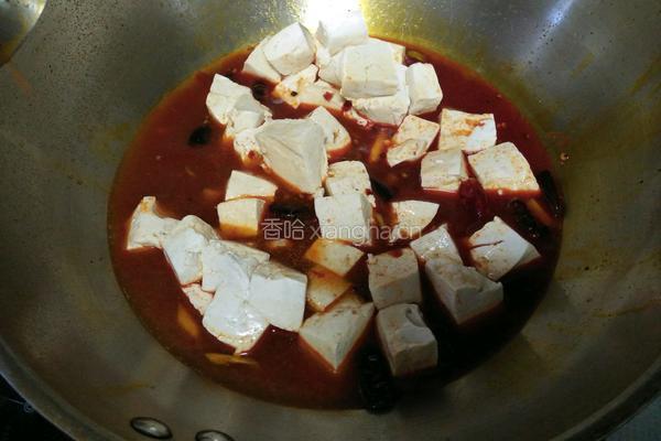 麻辣豆腐的做法图解8