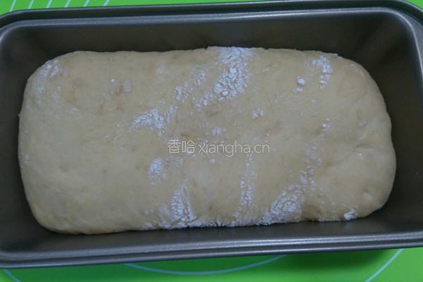 奶酪包的做法图解4