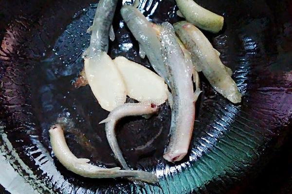 老豆腐泥鳅汤的做法图解2