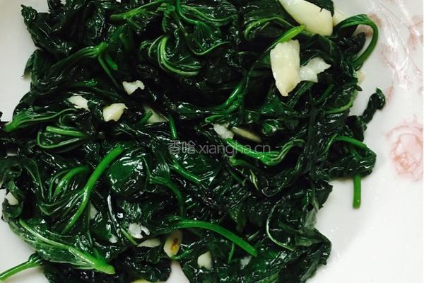 蒜香红薯叶的做法图解6