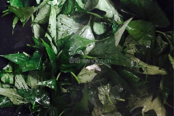 蒜香红薯叶的做法图解3