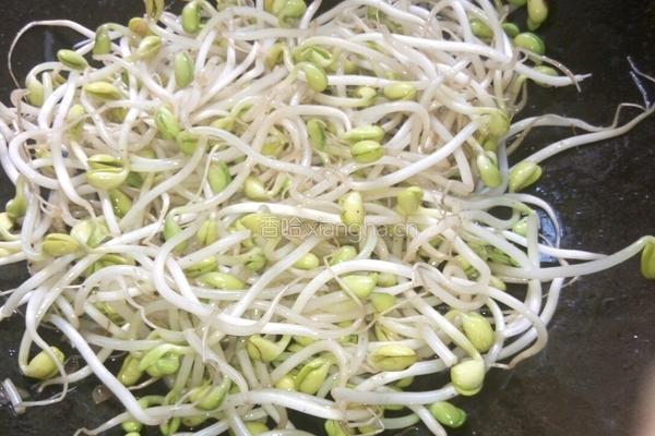 肉烧黄豆芽的做法图解7