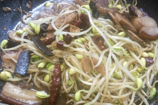 肉烧黄豆芽的做法图解9