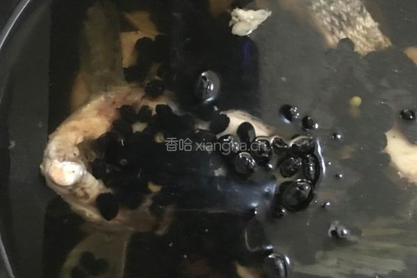 黑豆黑鱼汤的做法图解4
