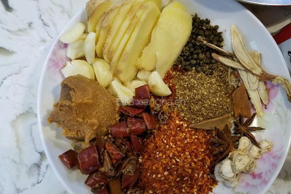 啤酒鸭 （吃我的啤酒鸭不需喝啤酒）的做法图解5