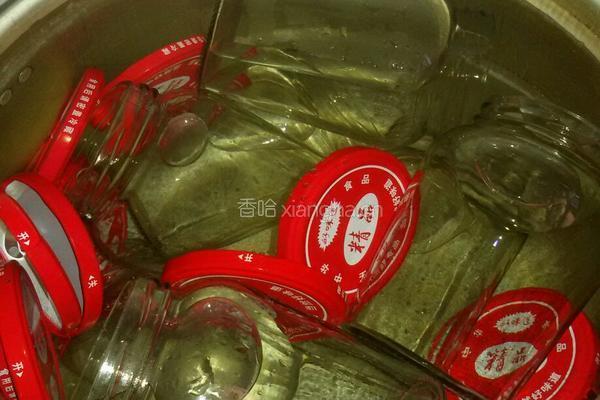 自制黄桃罐头的做法图解1