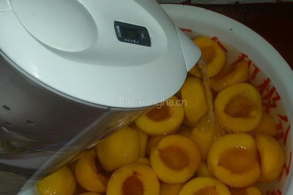 自制黄桃罐头的做法图解4