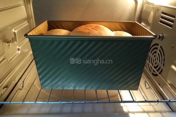 蔓越莓牛奶吐司的做法图解13