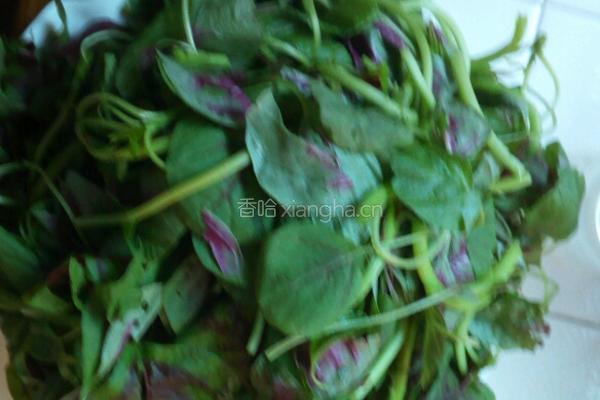 清炒红苋菜的做法图解3