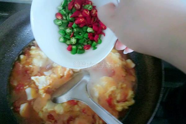 杏鲍菇西红柿鸡蛋面的做法图解12