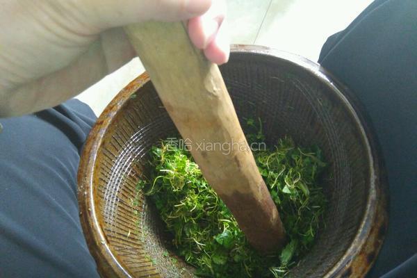 正宗宁化客家擂茶的做法图解9