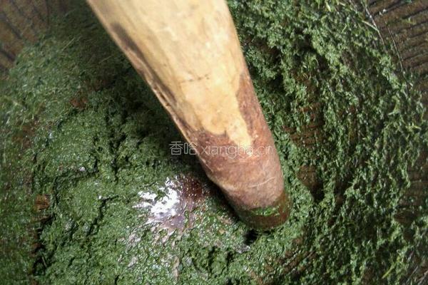 正宗宁化客家擂茶的做法图解10