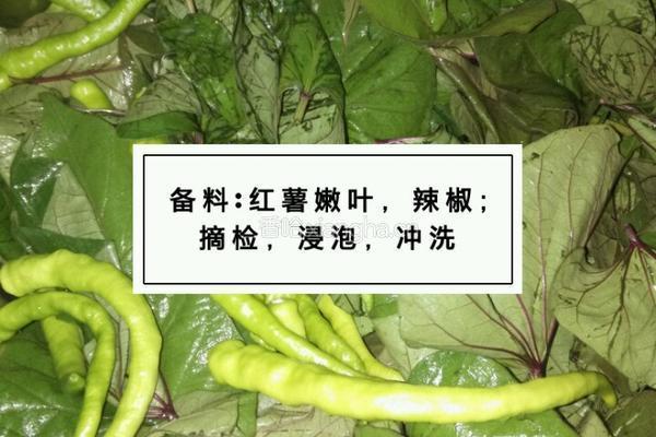 红薯叶窝窝头的做法图解1