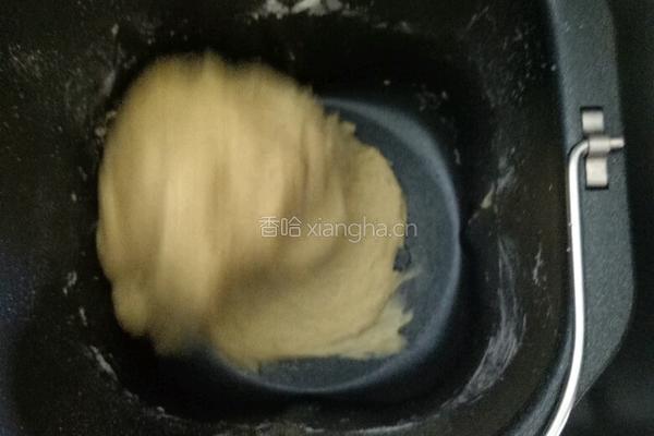 蔓越莓小餐包的做法图解4