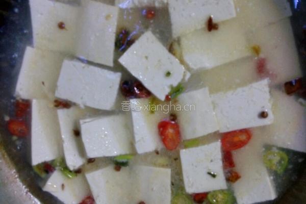 炖豆腐的做法图解4