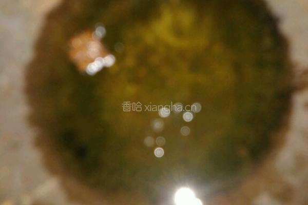 酱焖茄条的做法图解3