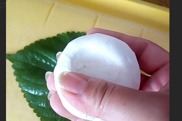 苏子叶粘耗子的做法图解7