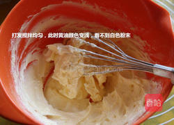 蔓越莓饼干的做法图解5