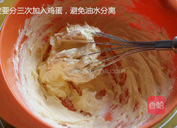 蔓越莓饼干的做法图解7