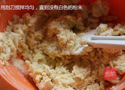 蔓越莓饼干的做法图解9