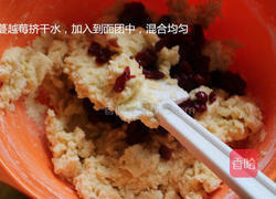蔓越莓饼干的做法图解10