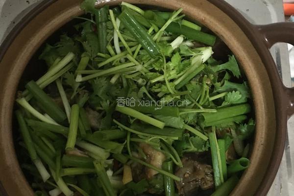 砂锅鸡煲的做法图解4