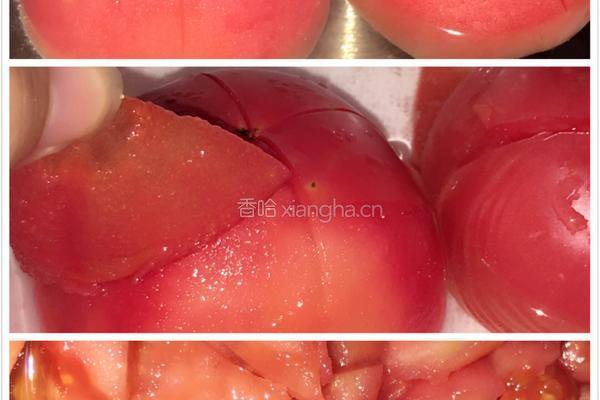 番茄意大利面「家庭版」的做法图解1