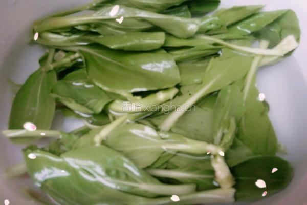 青菜素汤面的做法图解1