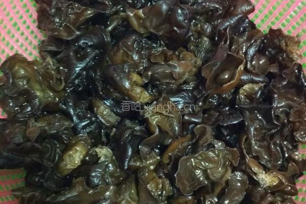 木耳猪肉馅包子的做法图解6