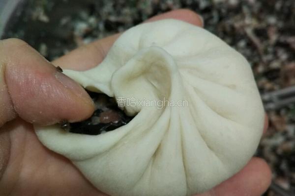 木耳猪肉馅包子的做法图解16