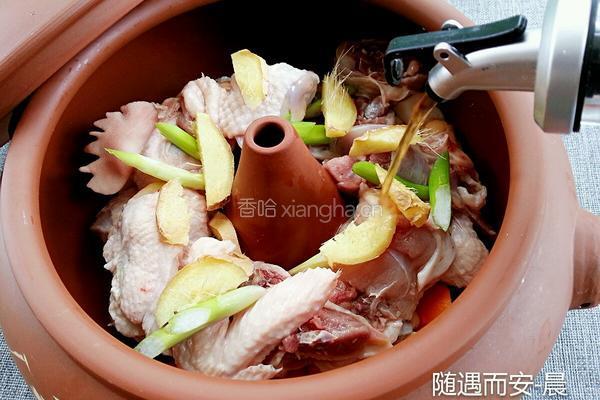 汽锅鸡的做法图解4