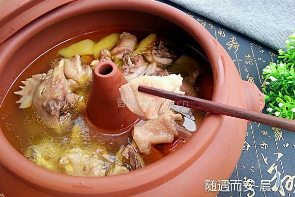 汽锅鸡的做法图解10