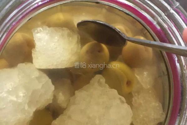 青梅煮酒的做法图解5