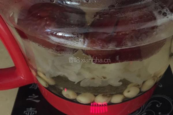 银耳莲子红枣汤的做法图解4