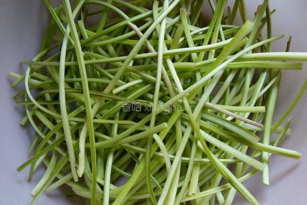 红薯杆菜的做法图解3