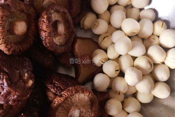 猪肚花蛤莲子汤的做法图解5