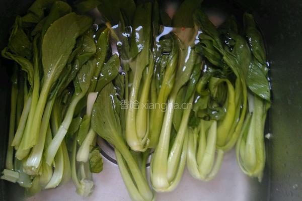 猪油青菜的做法图解1