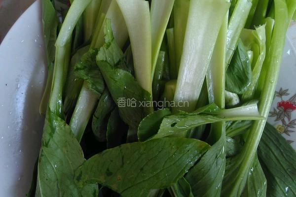 猪油青菜的做法图解2