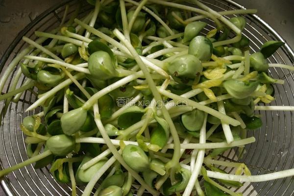 辣炒青豆芽的做法图解3
