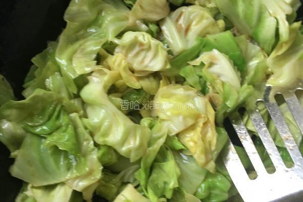 陈醋圆白菜的做法图解3