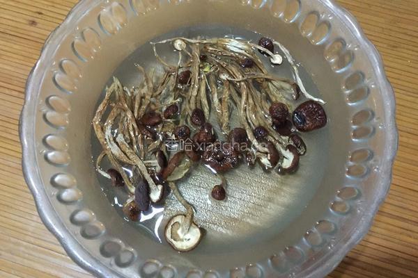 猪肚玉米茶树菇汤的做法图解1