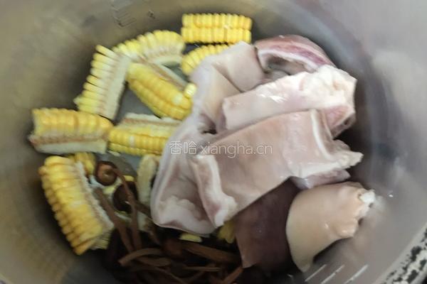 猪肚玉米茶树菇汤的做法图解8