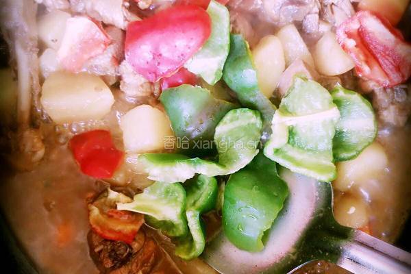 土豆烧鸡块的做法图解11