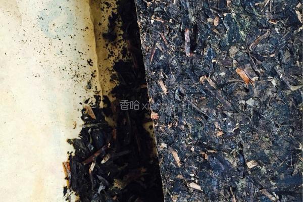 正宗内蒙古奶茶的做法图解2