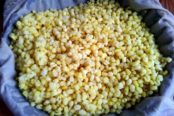 蔓越莓绿豆月饼的做法图解3