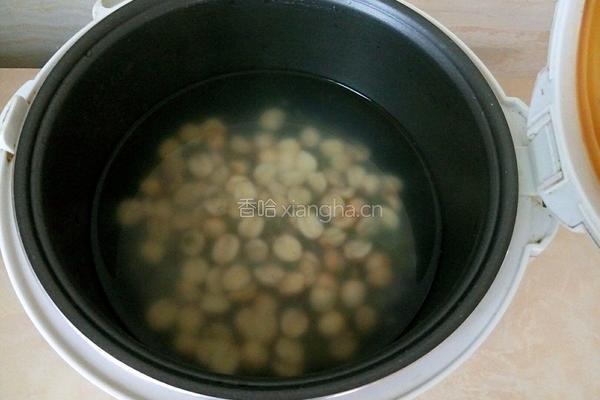 莲子绿豆粥的做法图解3