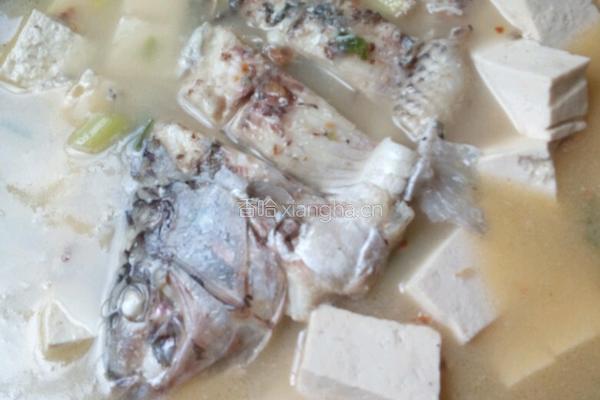 豆腐鲫鱼汤的做法图解12