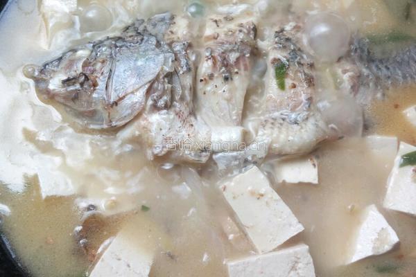 豆腐鲫鱼汤的做法图解11