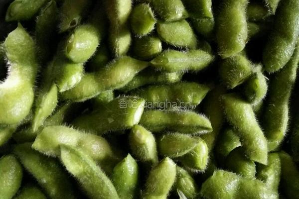 凉拌毛豆角 （家乡味）的做法图解1